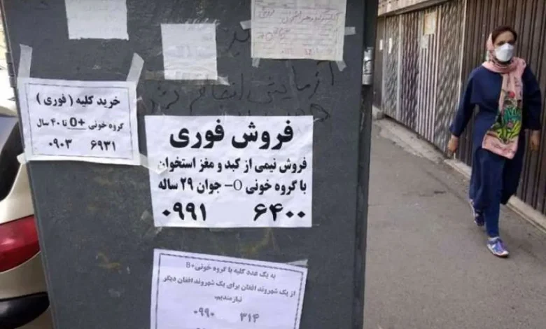 بازار عجیب فروش کلیه / حالا نوبت به دهه هشتادی ها هم رسید!